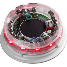 APOLLO - 45681-509APO